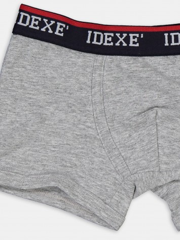 IDEXE 2 db boxer