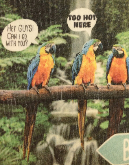 Z Generation papagáj mintás fehér póló